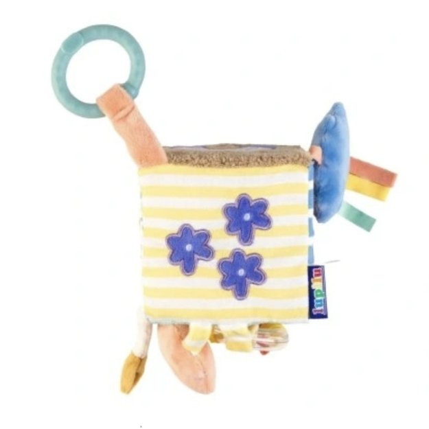 Pliušinis  veiklos kubas